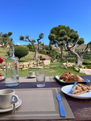 Alba in vigna Bed and Breakfast Laureana Cilento